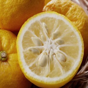 Sweet Orange Essential Oil