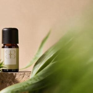 Lemongrass Essential Oil